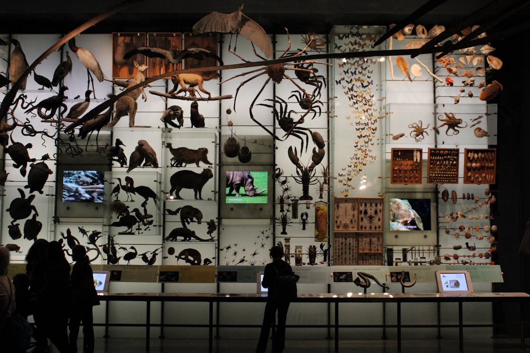 Ang Amerikano Museum ng Natural History - New York | Secret World Trip Planner