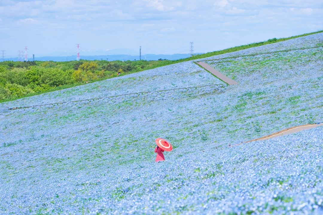 Japan: Hitachi Seaside Park - Hitachinaka | Secret World Trip Planner