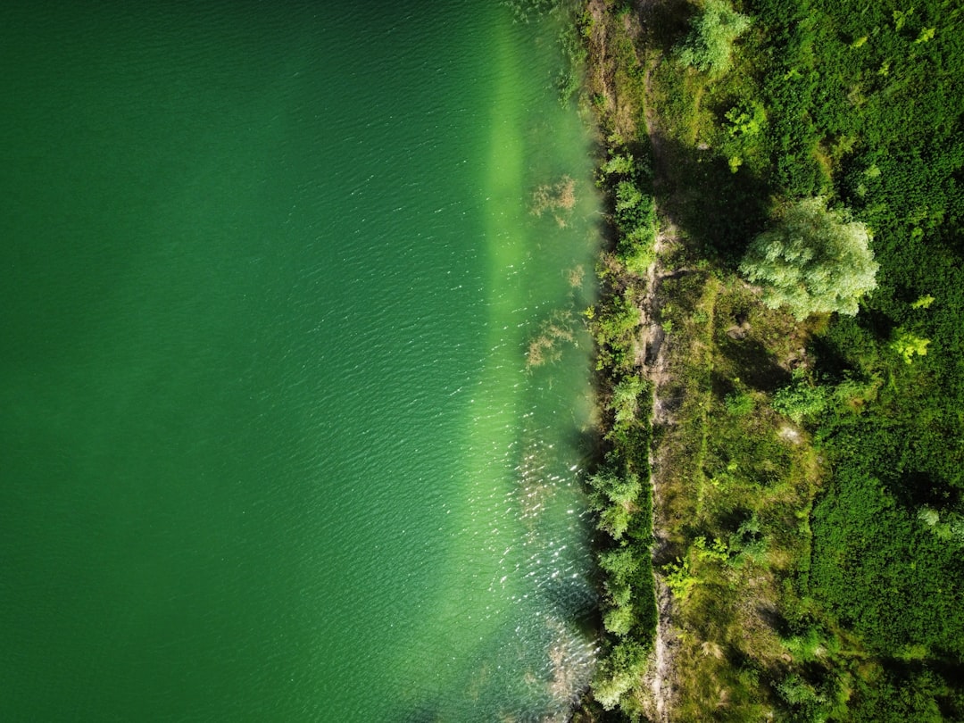 Austria |Lago Verde y el bosque submarino encantado - Green Lake | Secret World Trip Planner