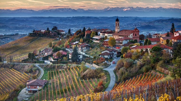 יינות מובילים בעולם: ברברסקו - Barbaresco | Secret World Trip Planner