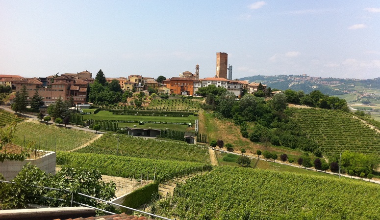 יינות מובילים בעולם: ברברסקו - Barbaresco | Secret World Trip Planner