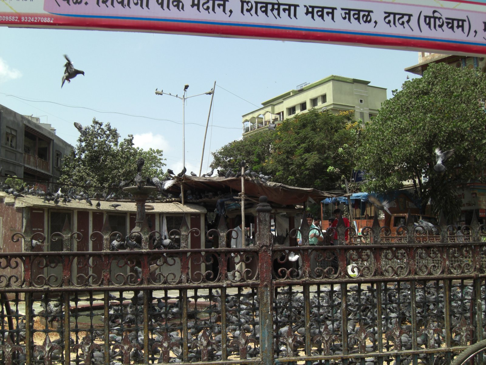 Mumbai: Cinc Jardins de la famosa Dadar-Parsi colònia - Mumbai | Secret World Trip Planner