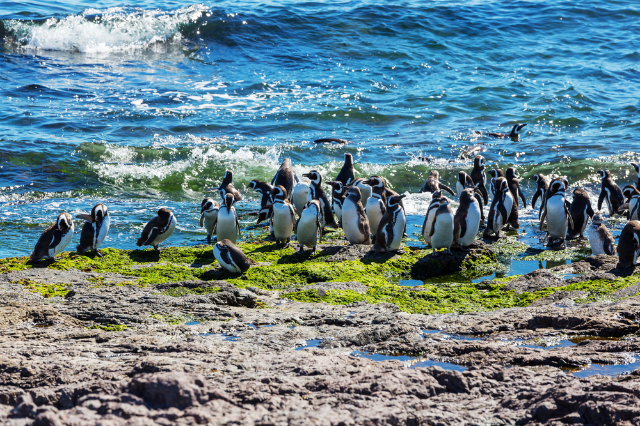 मैगलन नेशनल रिजर्व - Monterusciello | Secret World Trip Planner