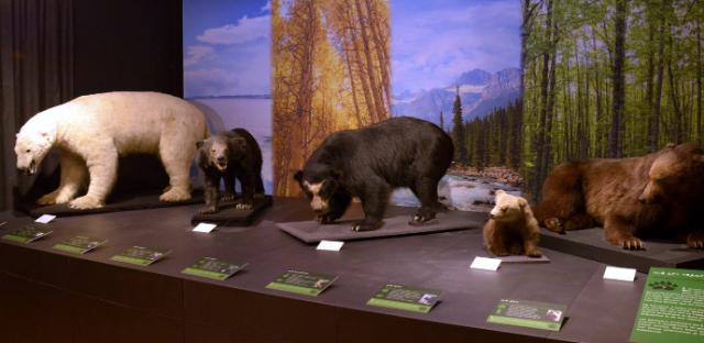 Museo JURASSICA - Porrentruy | Secret World Trip Planner