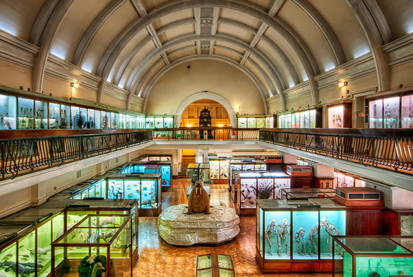 Horniman Museum - Londra | Secret World Trip Planner