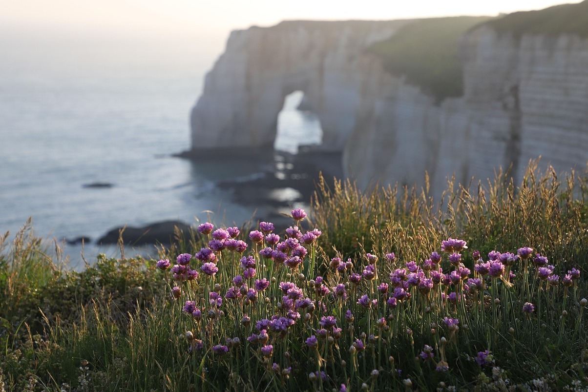 Étretat: un pueblecito, los acantilados y el famoso arco natural - Mundo Secreto - Étretat | Secret World Trip Planner