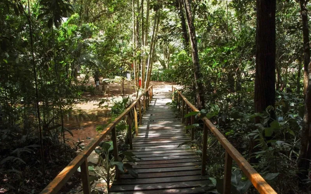 Parque Municipal de Maceió - Maceió - AL | Secret World Trip Planner