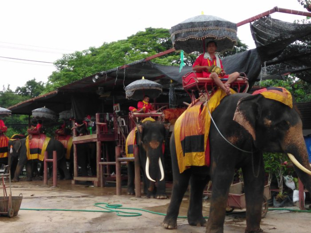 Le kraal des éléphants d'Ayutthaya - Suan Plik | Secret World Trip Planner