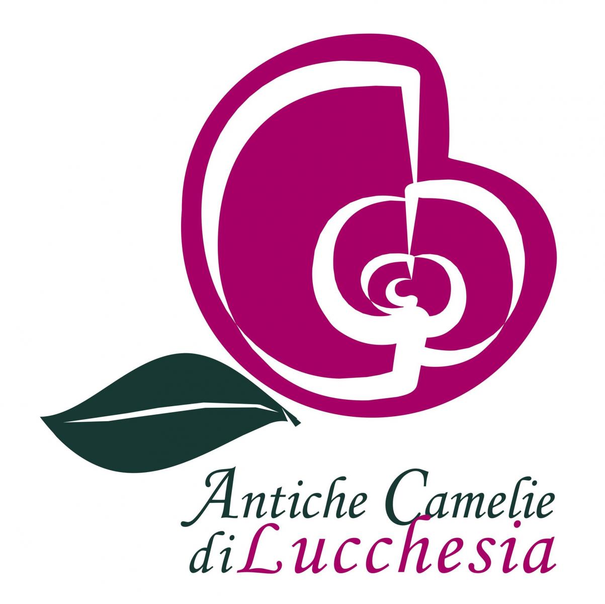 Antica Chiusa Borrini entre té y hermosas camelias - Capannori | Secret World Trip Planner