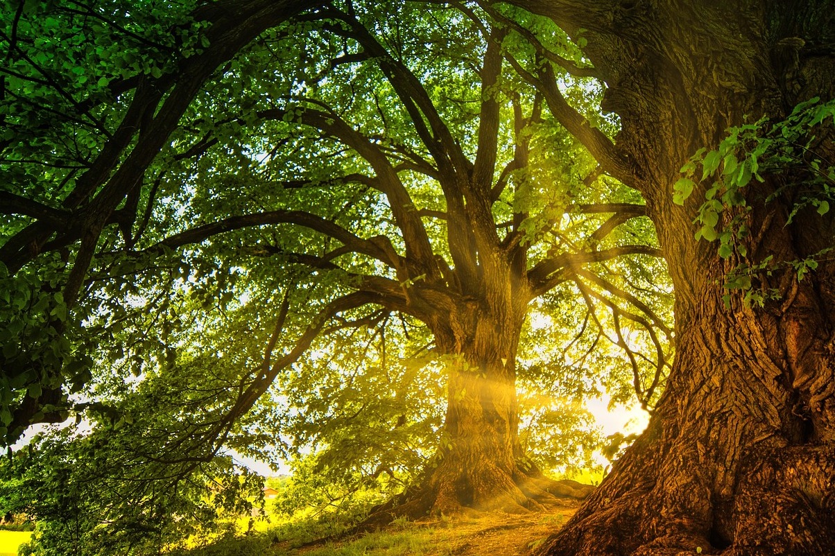 Stourhead, stebuklinga, rami vizija - Warminster | Secret World Trip Planner