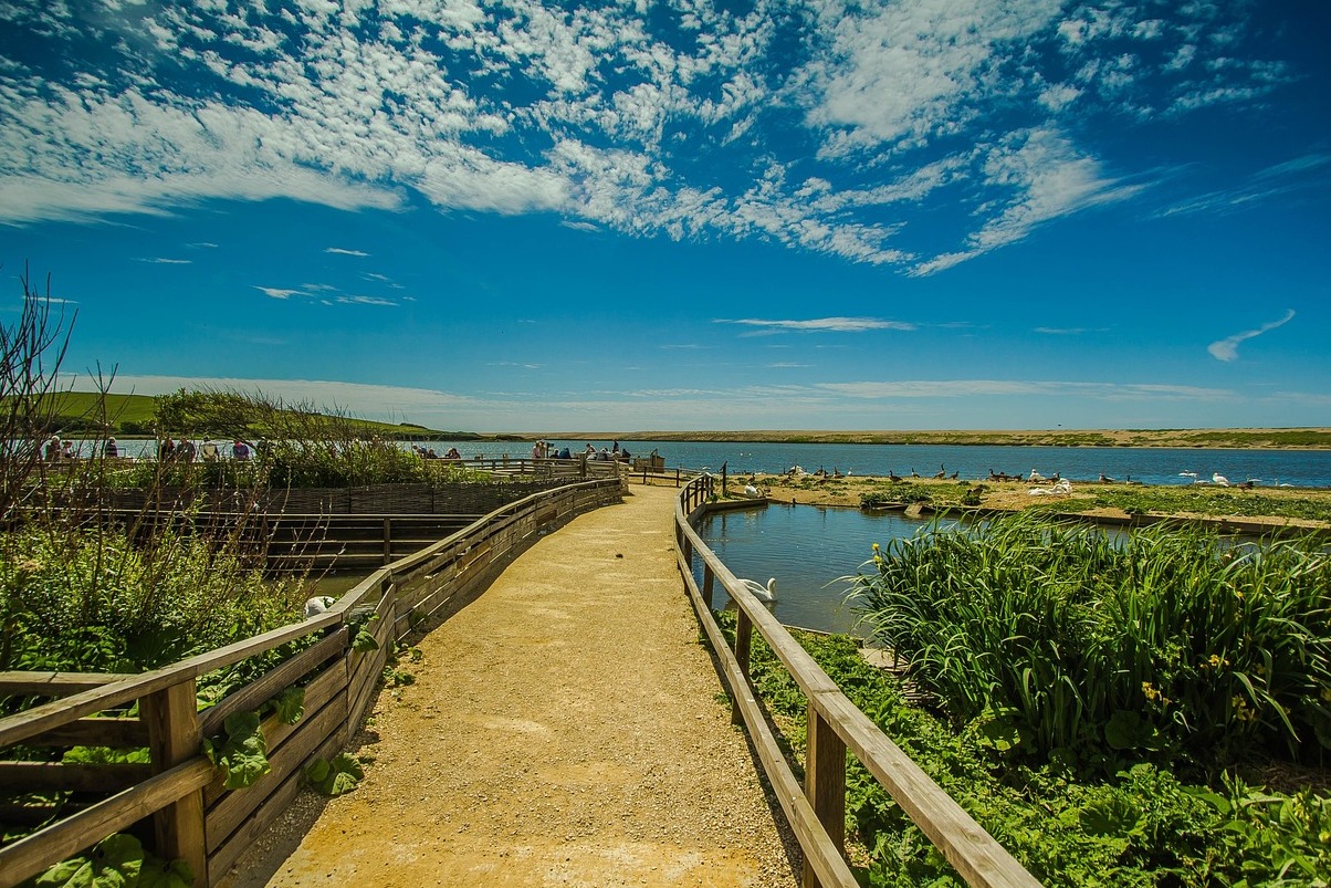 Inglaterra, uno de los pueblos más pintorescos: Abbotsbury - Abbotsbury | Secret World Trip Planner