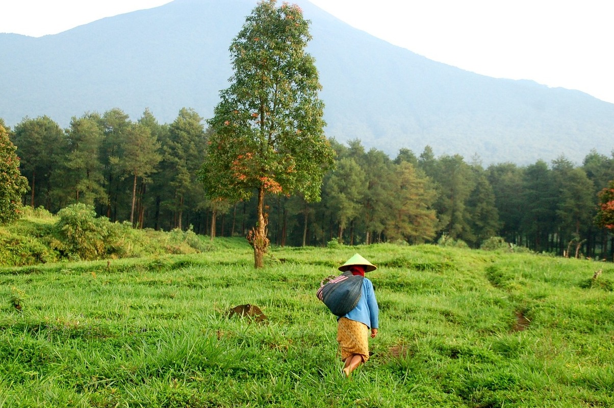 Indonesia Wonders: El Monte Bromo, un lugar impresionante - Pasuruan | Secret World Trip Planner