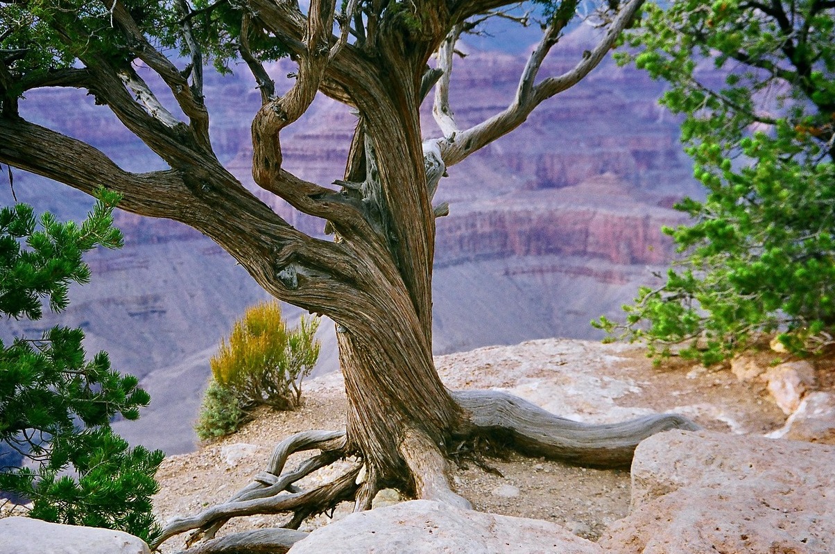 Canyon de Chelly National Monument  - Chinle | Secret World Trip Planner