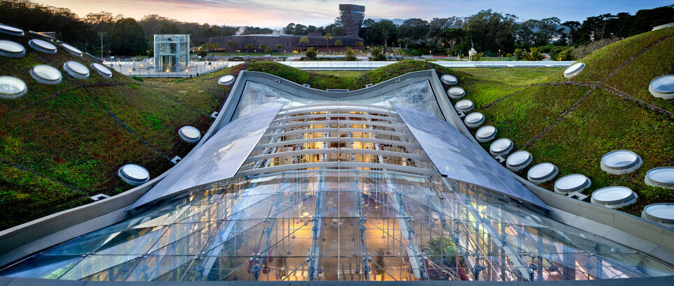 La Academia de Ciencias de California en San Francisco - San Francisco | Secret World Trip Planner