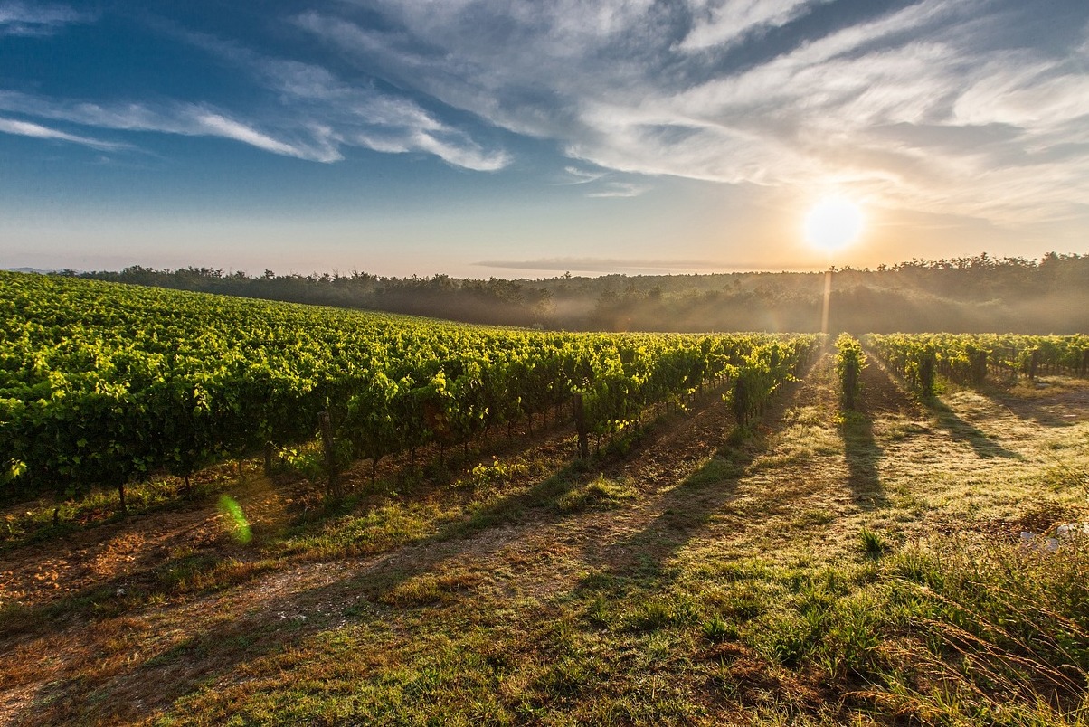 Beaulieu Ubasan - Napa | Secret World Trip Planner
