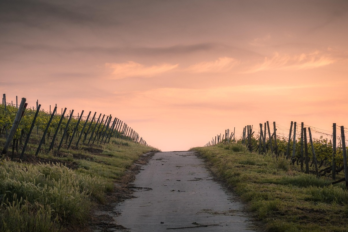 Beaulieu Ubasan - Napa | Secret World Trip Planner