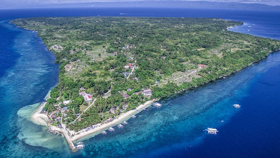Isla Cabilao — Loon