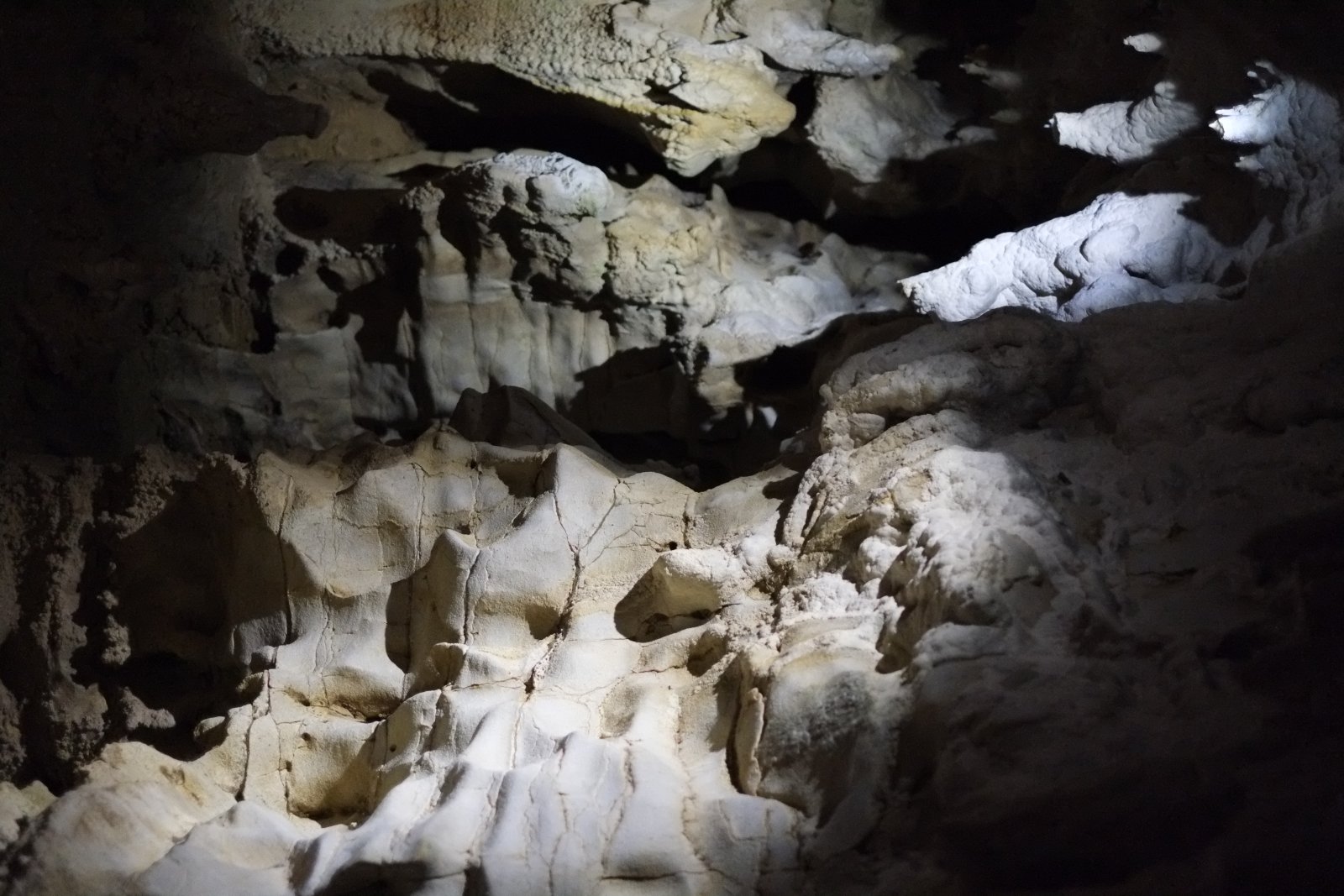 Cuevas de Waitomo, un cielo estrellado en una cueva - Waitomo | Secret World Trip Planner