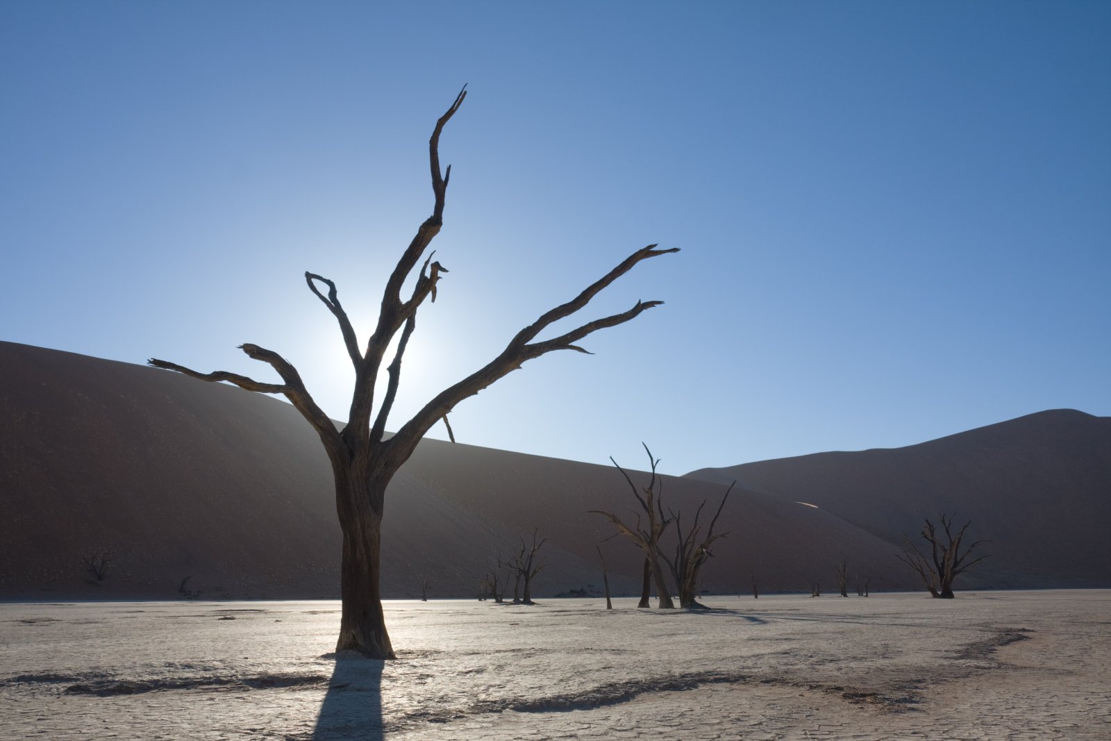 死んだVlei、砂漠の凍った森  - Sossusvlei | Secret World Trip Planner