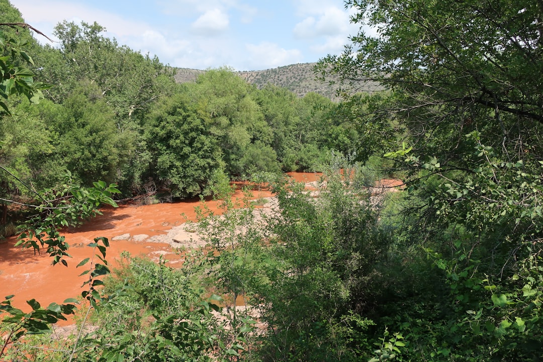 El Río Tinto un fiume rosso| España - Tinto | Secret World Trip Planner