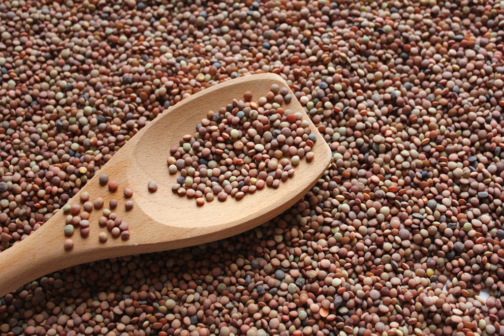 Castelluccio Lentils PGI - Castelluccio | Secret World Trip Planner