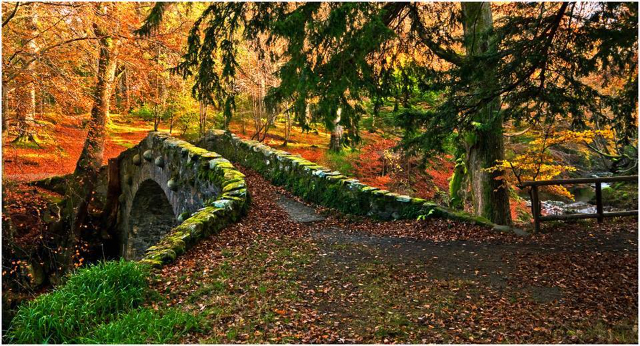 Parque Forestal de Tollymore - Bryansford Rd | Secret World Trip Planner