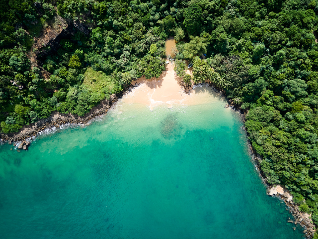 Jungle Beach - Jungle Beach | Secret World Trip Planner