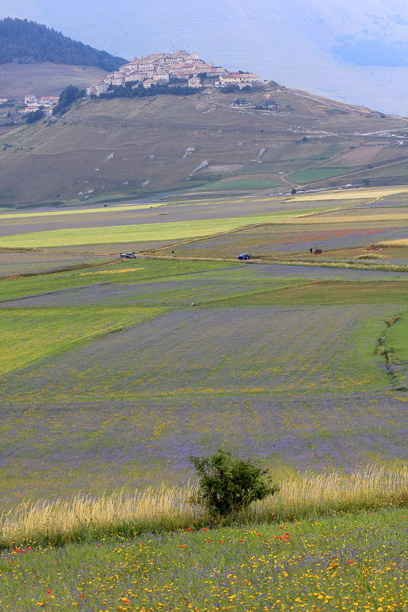 卡斯特卢奇奥的绽放 - Castelluccio | Secret World Trip Planner