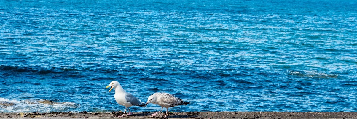 Nestled at the foot of imposing cliffs: Pennan - Pennan | Secret World Trip Planner