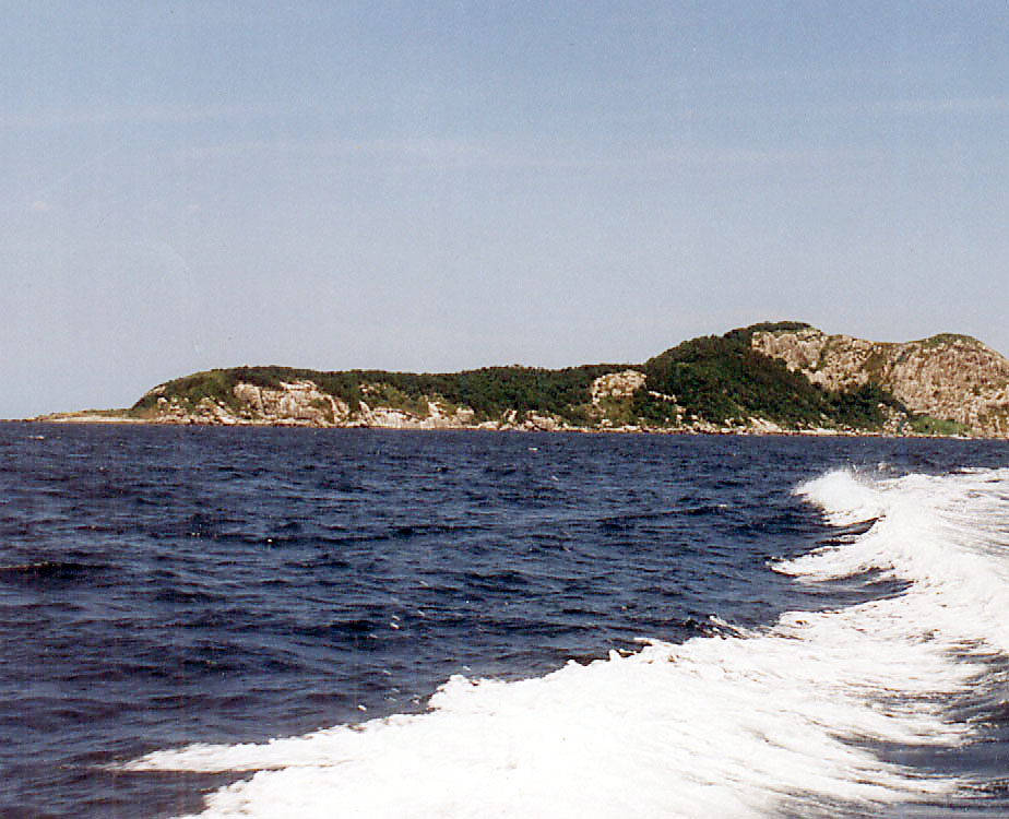 Pulau Ular - Ilha da Queimada Grande  - Isola di Queimada Grande | Secret World Trip Planner