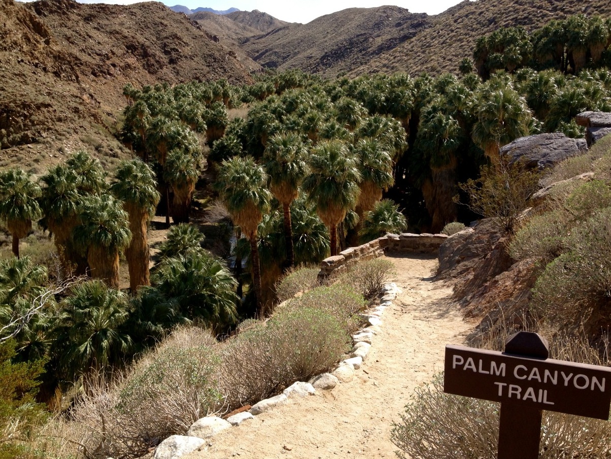 Indian Canyons - Palm Springs | Secret World Trip Planner