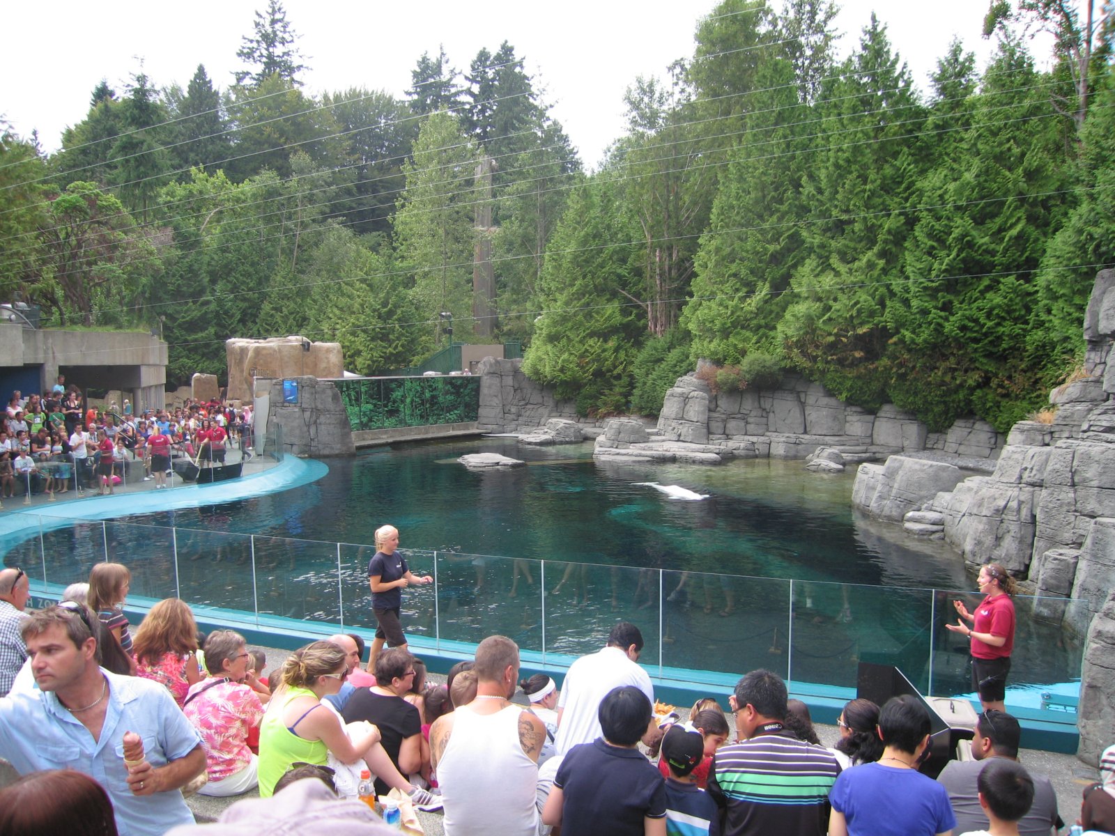 El Acuario de Vancouver - Vancouver | Secret World Trip Planner