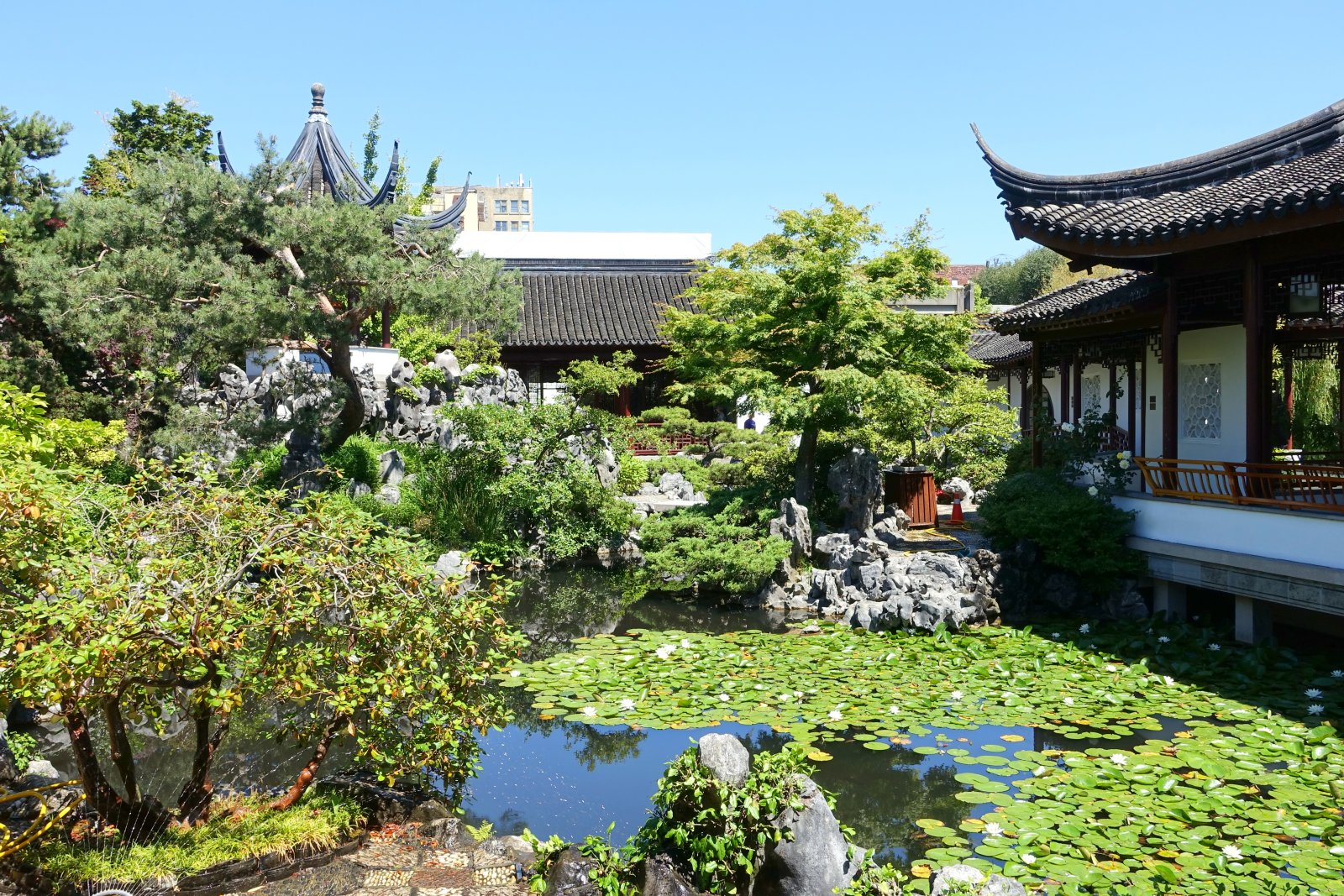 Canadá: Dr. Sun Yat-Sen Jardín Clásico Chino - Vancouver | Secret World Trip Planner