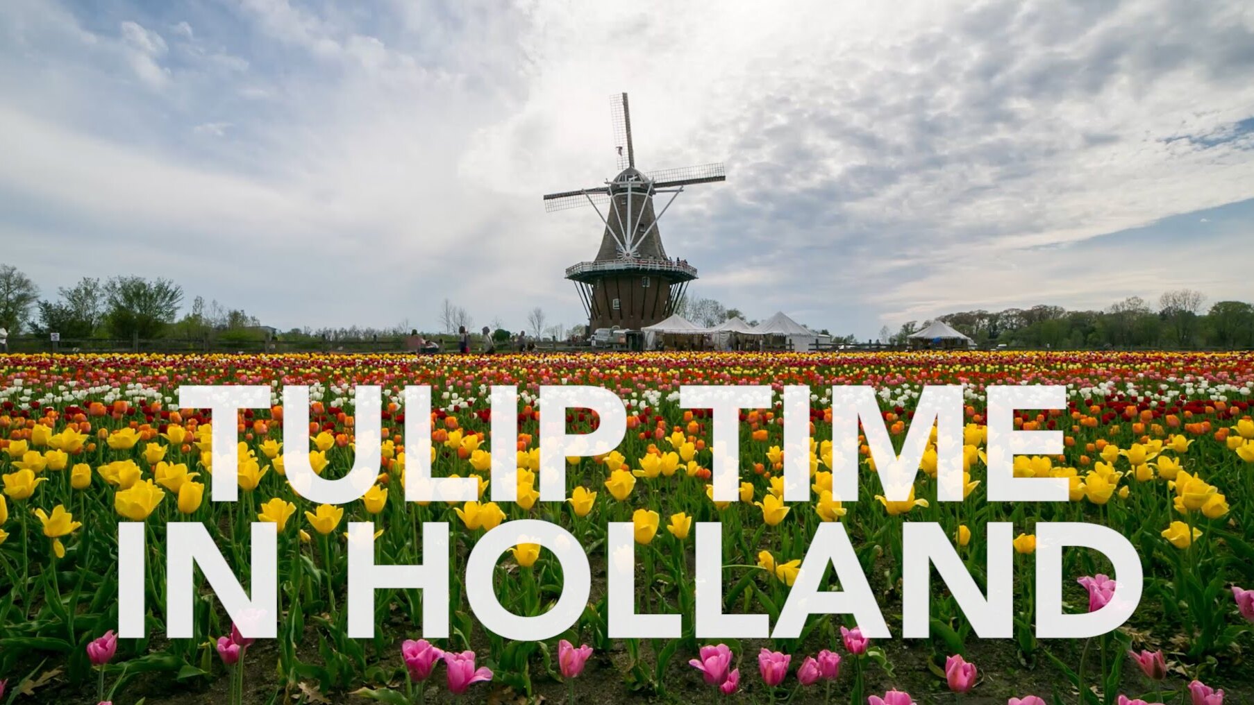 Festival del tiempo de los tulipanes en Holanda, Michigana — Holland