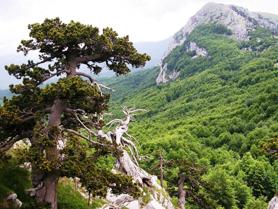 Terranova y el espectacular Parque Nacional de Pollino - Terranova di Pollino | Secret World Trip Planner