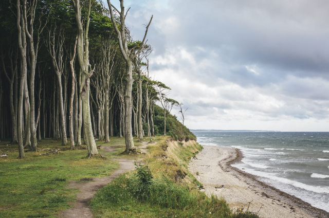Les duchov Nienhagen - Nienhagen | Secret World Trip Planner
