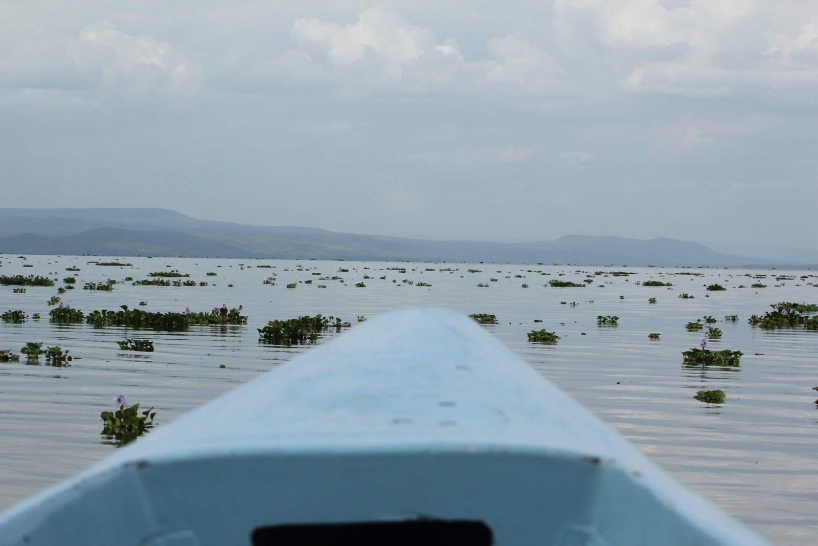 Lake Naivasha - Lago Naivasha | Secret World Trip Planner
