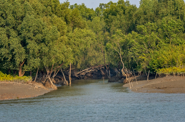 La forêt de réserve des Sundarbans (SRF) | Secret World Trip Planner