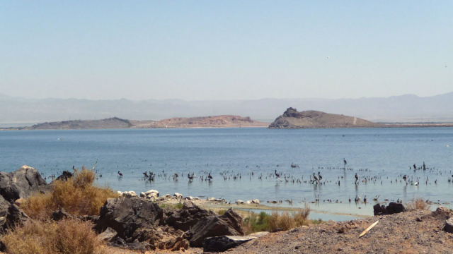 El mar de Salton - Lago Salton | Secret World Trip Planner