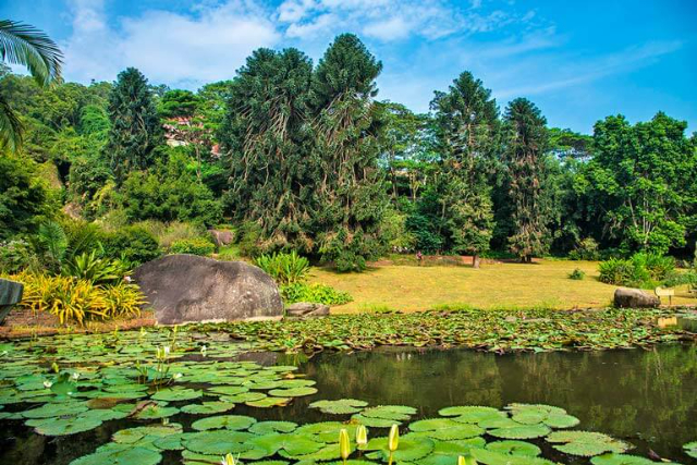 Il mondo della foresta pluviale - Xiamen | Secret World Trip Planner