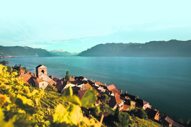Lavaux, οι ελβετικοί αμπελώνες κληρονομιά της UNESCO. - Distretto di Lavaux-Oron | Secret World Trip Planner