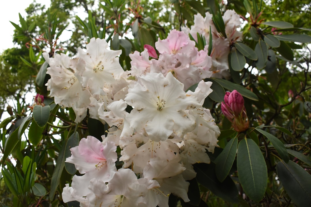 Richmond:  - Richmond | Secret World Trip Planner