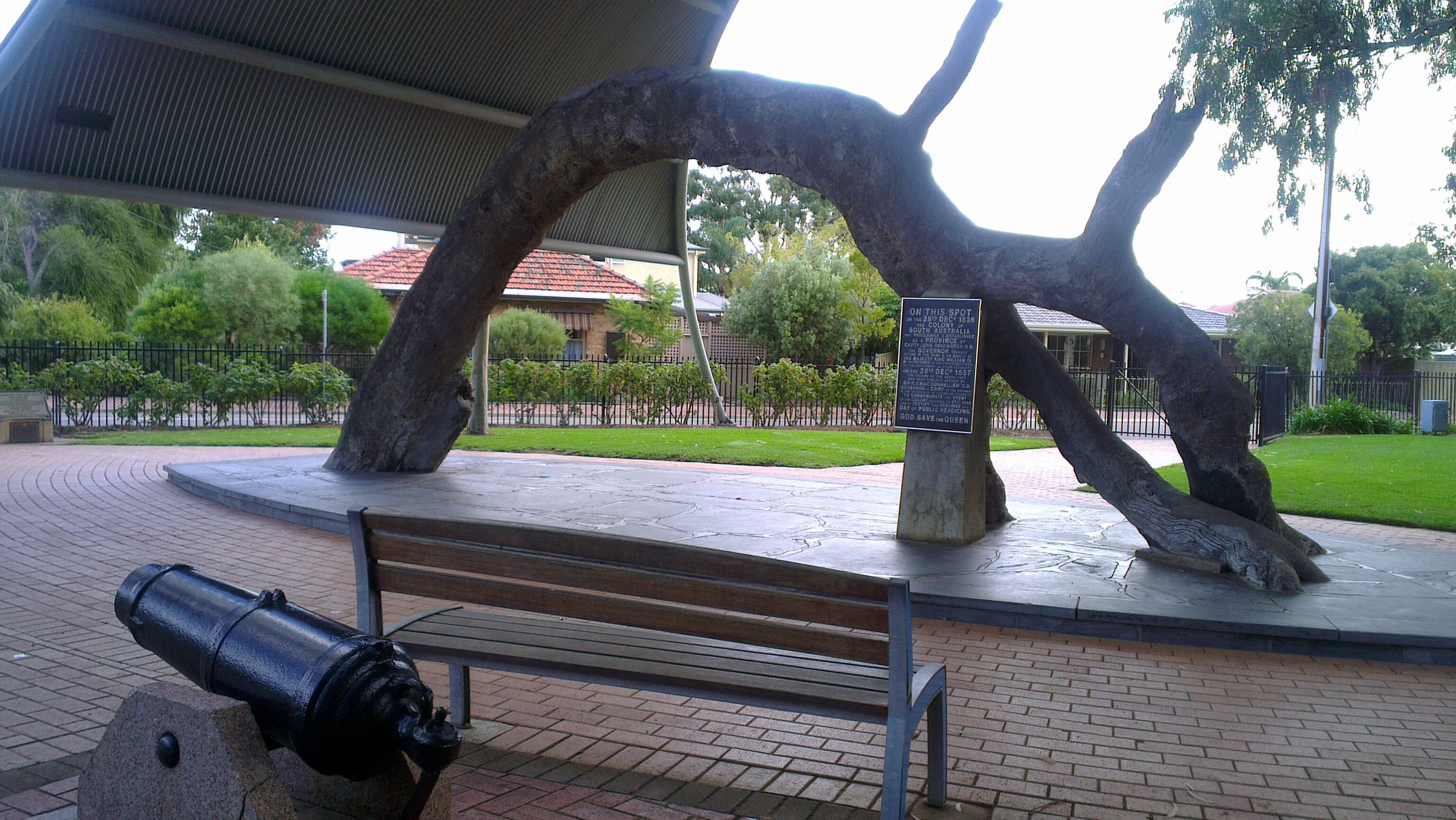 The Old Gum Tree — Glenelg North