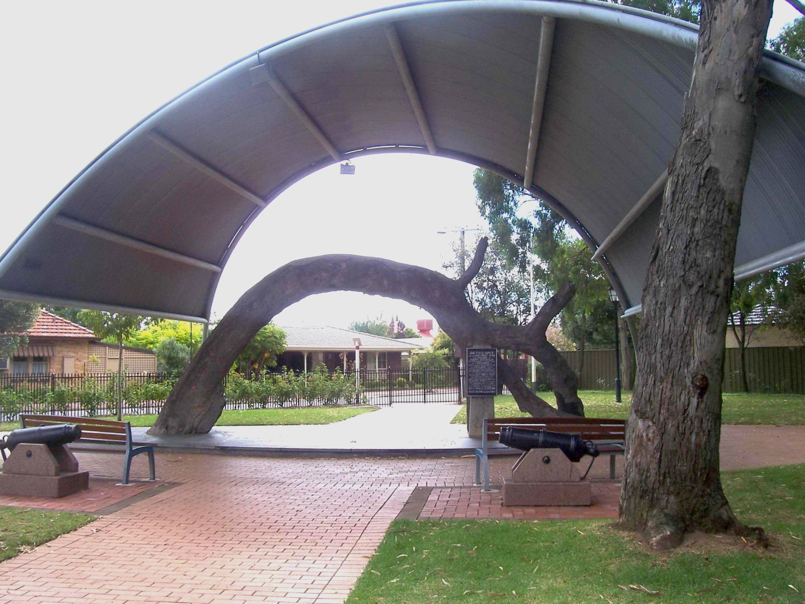 The Old Gum Tree - Glenelg North | Secret World Trip Planner