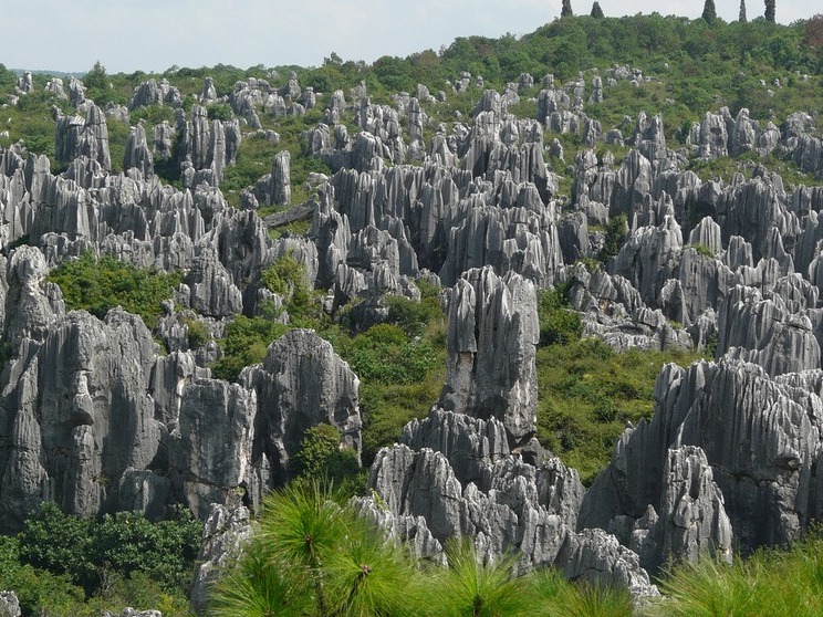 Shilin Stone Forest - China Natural Wonder - Kunming | Secret World Trip Planner