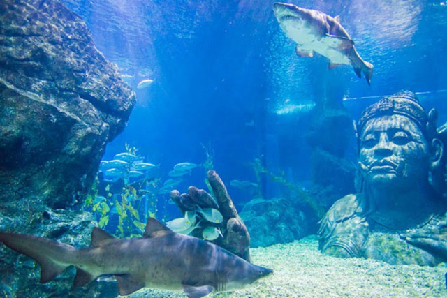 シーライフバンコク オーシャンワールド - Khet Pathum Wan | Secret World Trip Planner