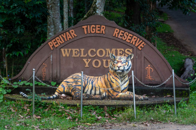Réserve de tigres de Periyar - Kerala | Secret World Trip Planner