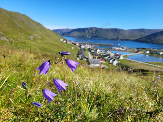 स्कार्सवाग का मछली पकड़ने वाला गाँव - Skutnesveien | Secret World Trip Planner