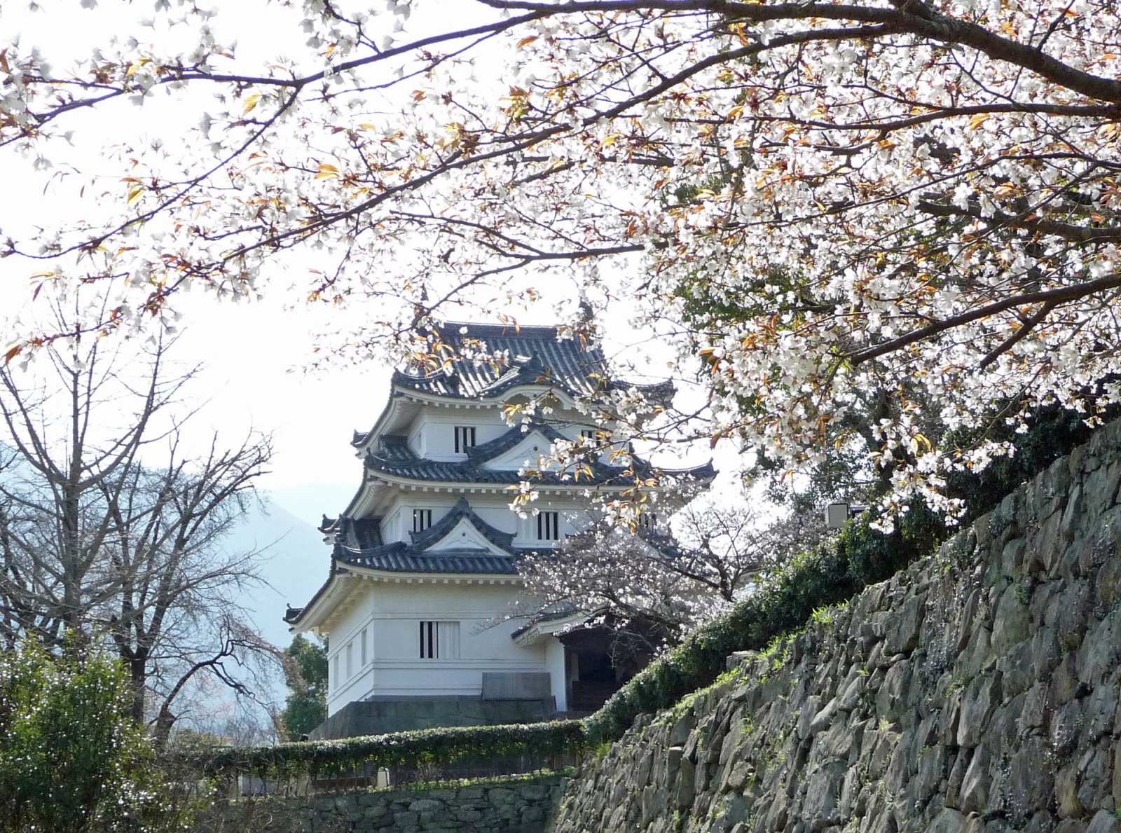 Uwajima Castle:one of 12 castles of the Edo Period  - Uwajima | Secret World Trip Planner