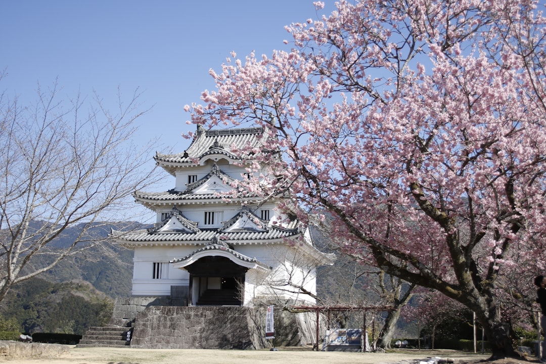 Uwajima Castle:one of 12 castles of the Edo Period  - Uwajima | Secret World Trip Planner